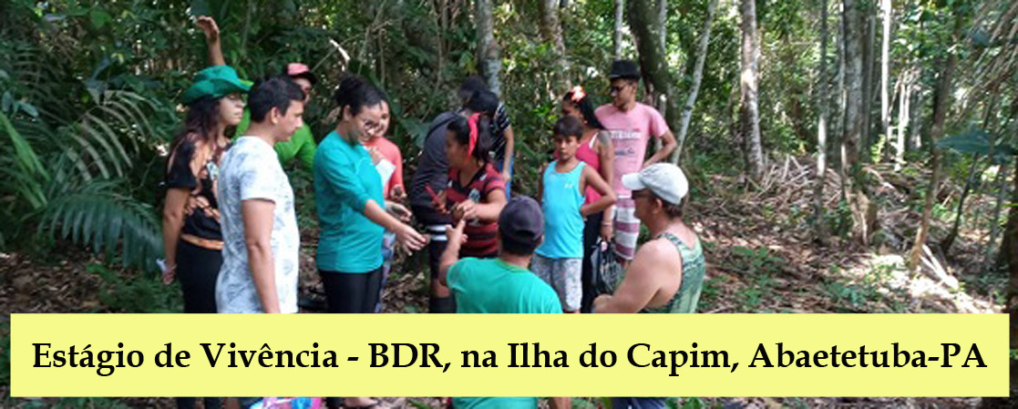 Vivência na Ilha do Capim, Abaetetuba-PA