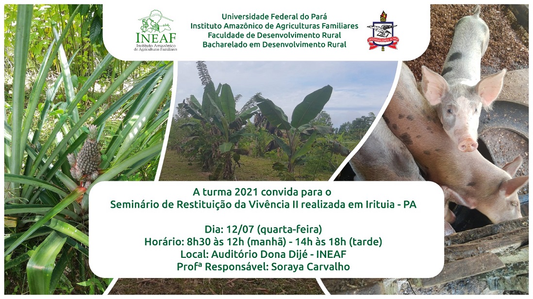 Seminário de Restituição da Vivencia II realizada em Iritua - PA